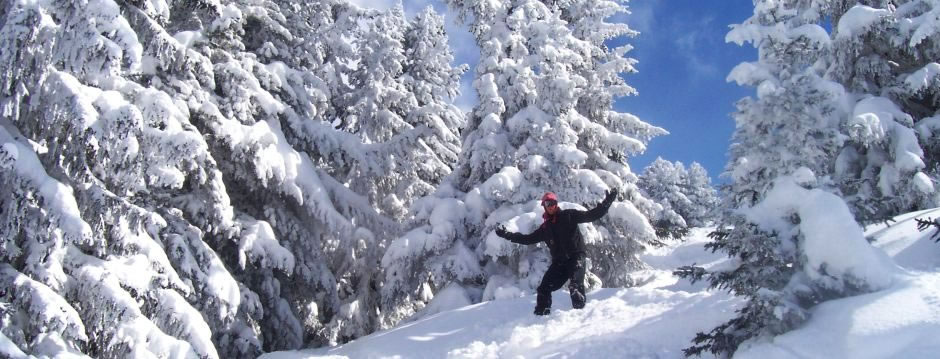 Verzorgde chalet wintersportvakanties in La Tania